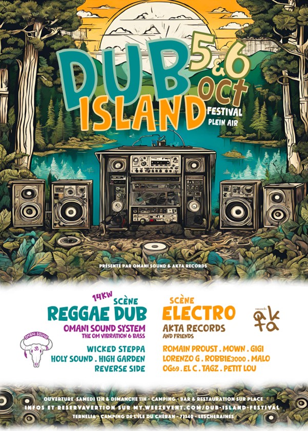 Affiche du DUB Festival Island